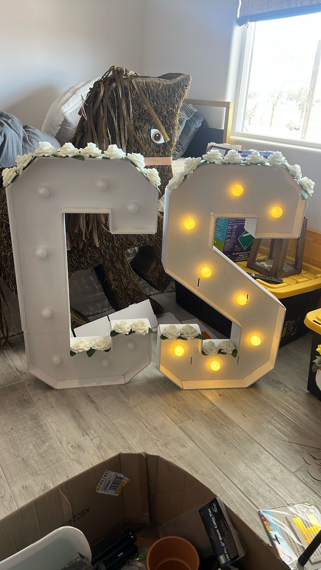 Light Up Letters C & S