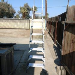 73 Inch Pro Aluminum Ladder 
