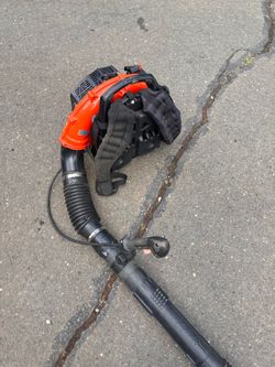 Echo blower
