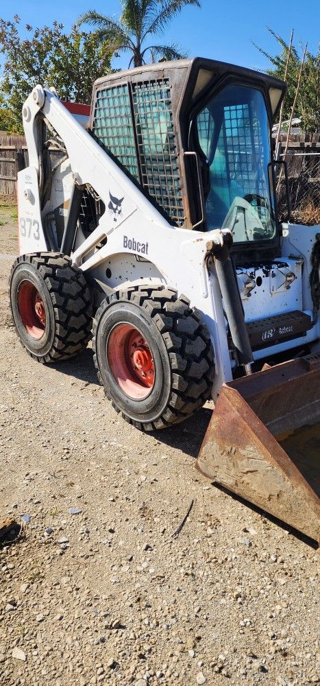 Bobcat