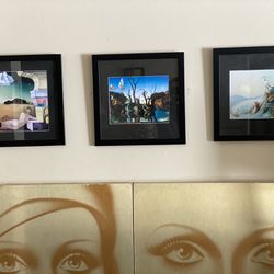Three Salvador Dali Paintings All Framed Matted And Behind Glass. Add Some Surrealism From The Creator Of Surrealism To Your Home Decor For Cheap