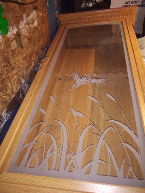 Gun Display Case