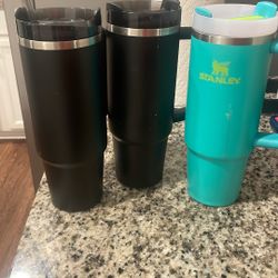 Stanley cups 30 Oz