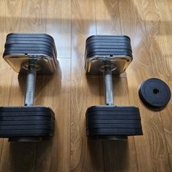Ironmaster 75 LB Dumbbell Set + Micro Plates