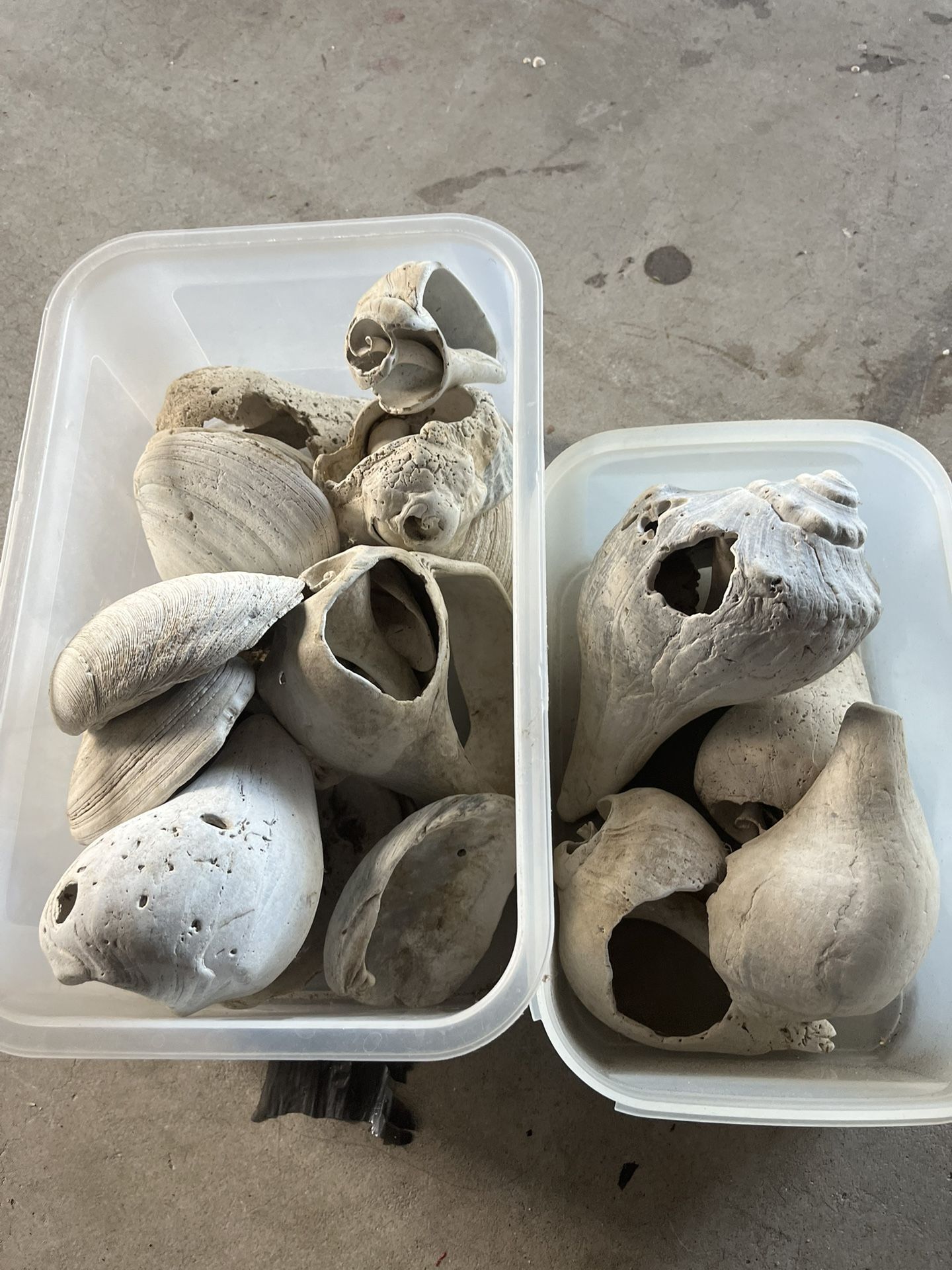 Free Misc Shells