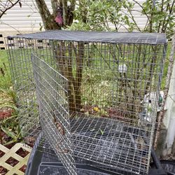 Nice Cage 12”x20”