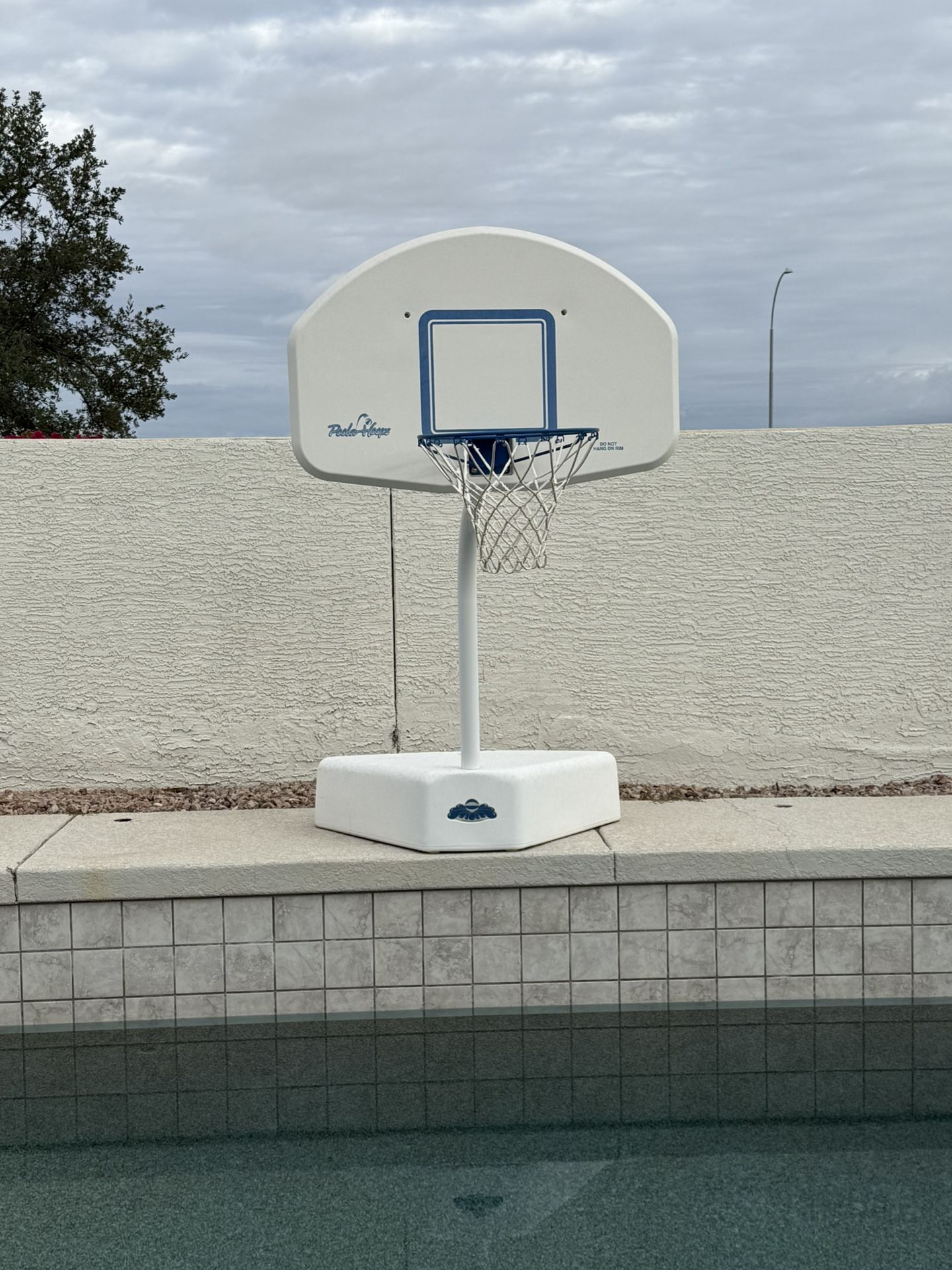 Pool Basketball Hoop