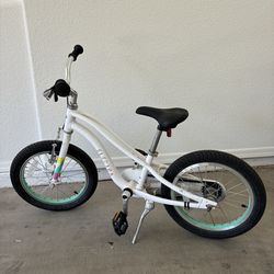 Electra Bike