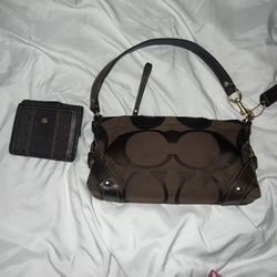 Brown Coach Bag With Wallet
