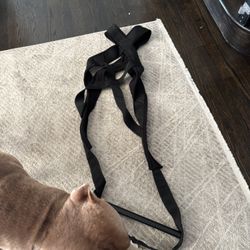 Dog Weight Pulling harness 