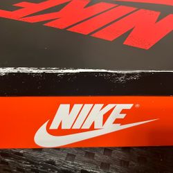 Size 11 Air Jordan 1s UNC 