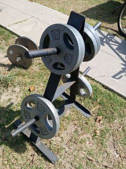 120lbs. With Bench and Stand