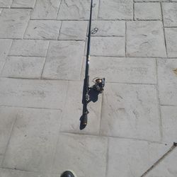 STEEZ SPINNING ROD AND  CERTATE 3000HA  REEL $175 OBO