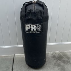 Punching Bag 