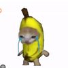 Mr Roblox man