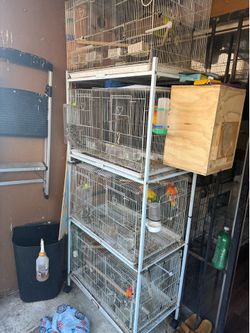 Bird cage