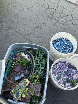 Aquarium items