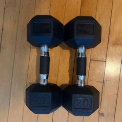 20lbs Dumbells 
