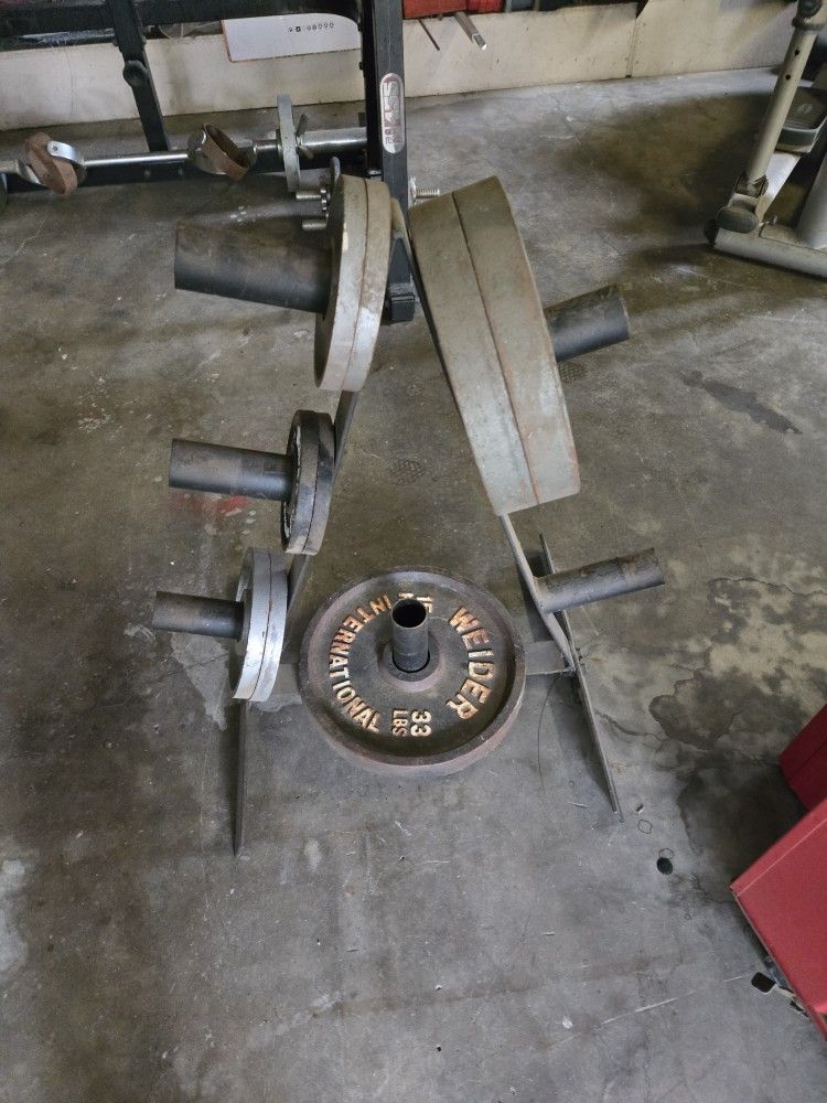 Gym Equipment Free Weights