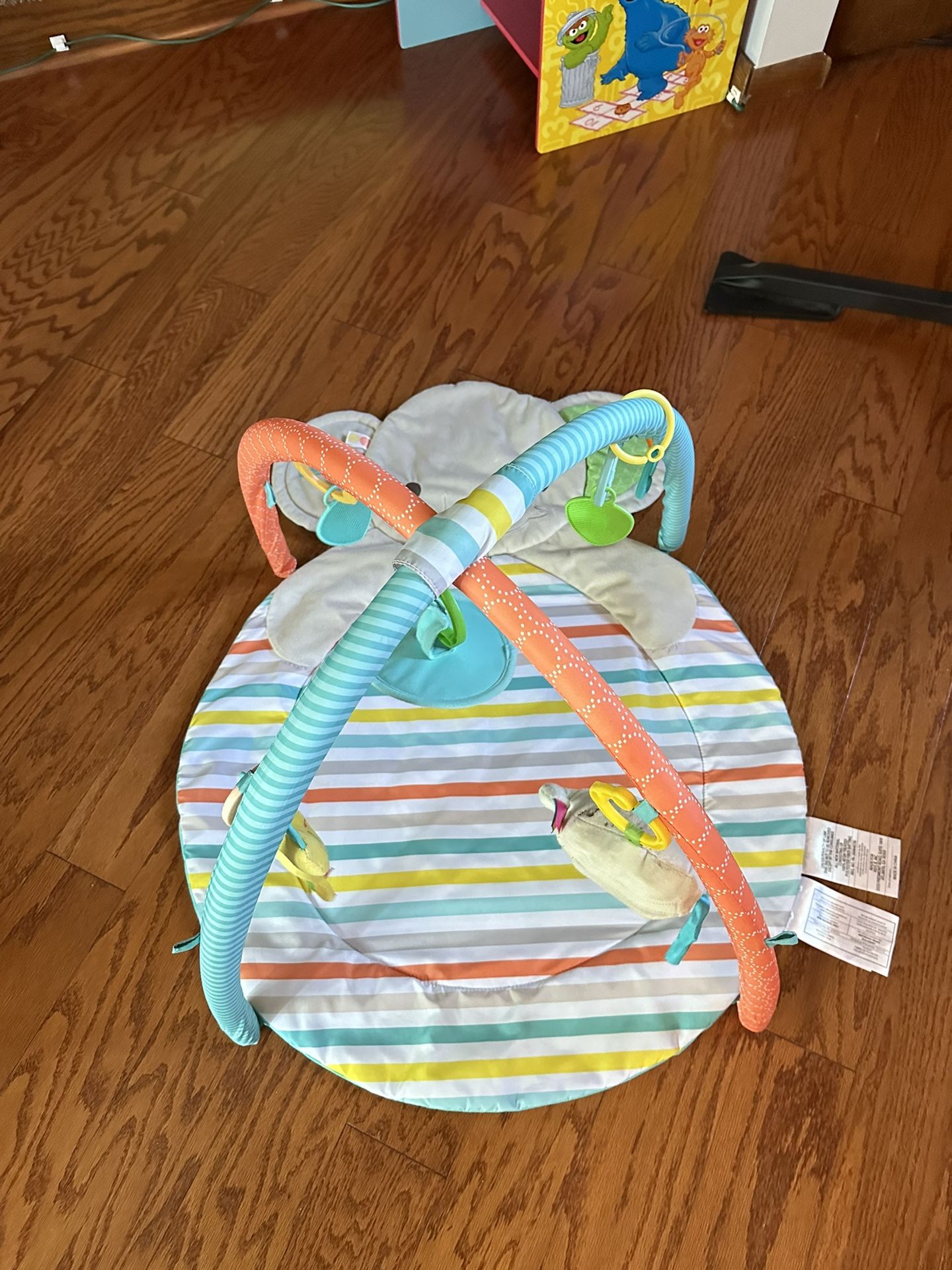 Baby Gym Playmat