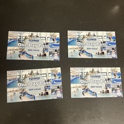 Belmont Park Plunge all day pass