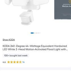 Motion Activated Security light