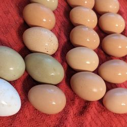 Eggs