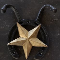 Horse Shoe With Gold Star 