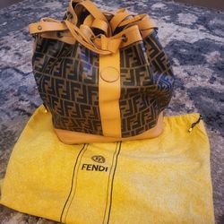 Authentic rare FENDI bag/purse