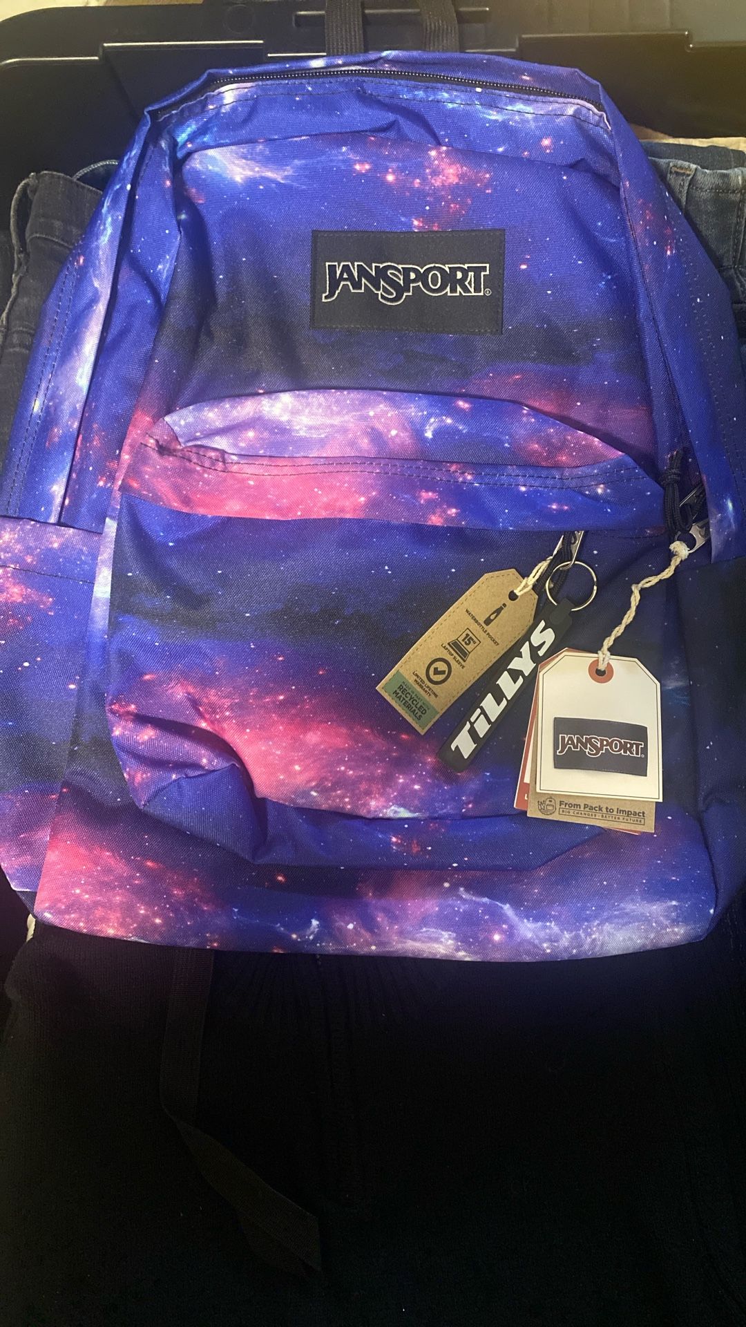 JanSport Back Pack