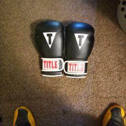 Title Boxing Gloves 14oz