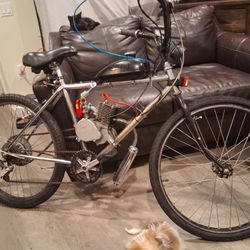  Chrome Diamond Back With 100cc Motor