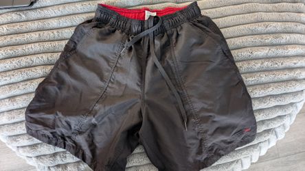 Speedo Swim Trunks