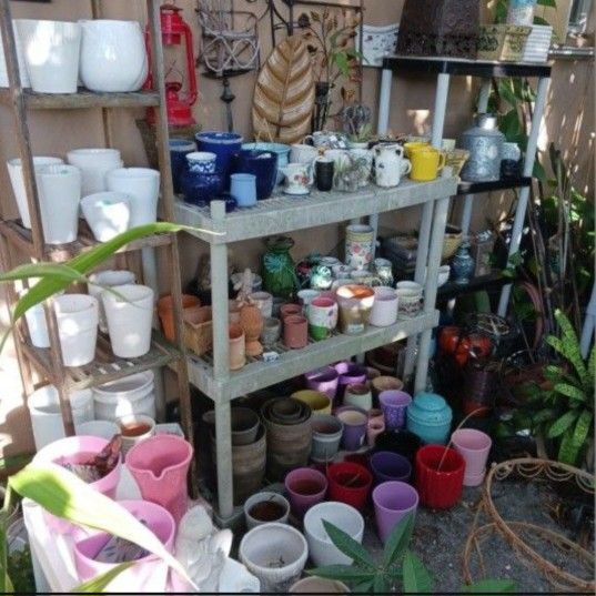 House Plant Pots