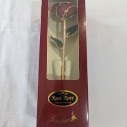 Living Gold Real Rose Dipped In 24k Gold
