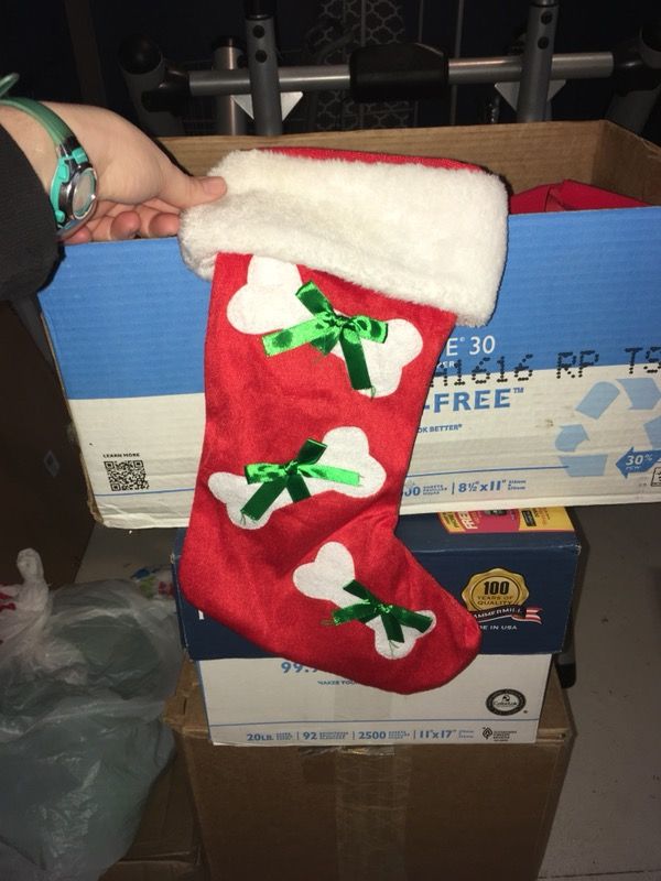 Holiday Stockings and Bows