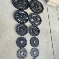 All In One Smith Gym With Weights