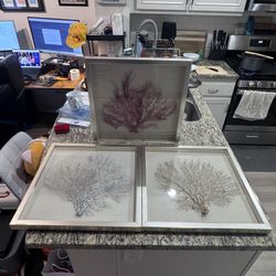 Z Gallerie Sea Fan Shadowbox Wall Art – Red, Gold & Silver – 19.5” Set of 3