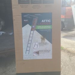 Attic Ladder 
