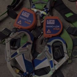 Harness