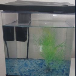 1.5 Gallon Aquarium 