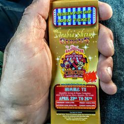 Circus Today (10am-3pm)