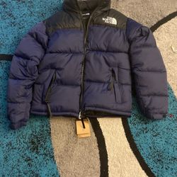 Brand New North Face Puffer 700 