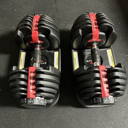 Pair of Bowflex Dumbells