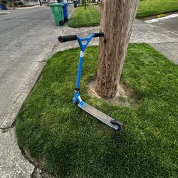 Razor Scooter