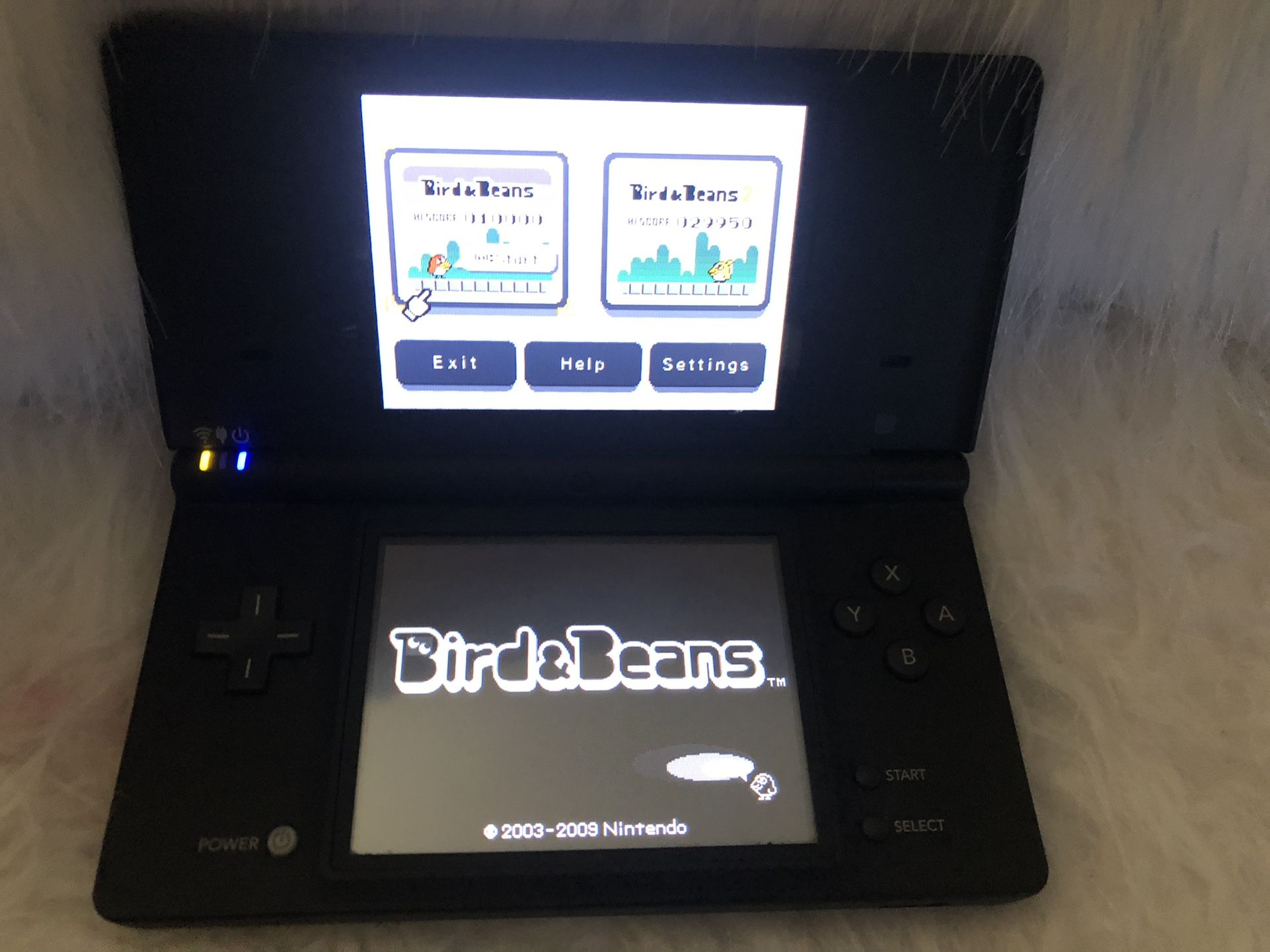 Nintendo DS I