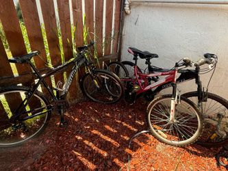 Bike’s