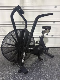 Rogue echo assault bike