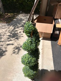 Porch bush