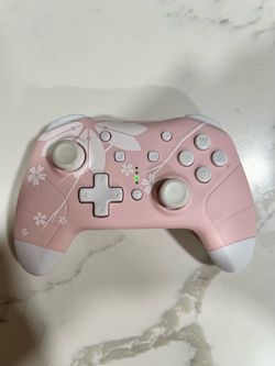 Nintendo Switch Controller
